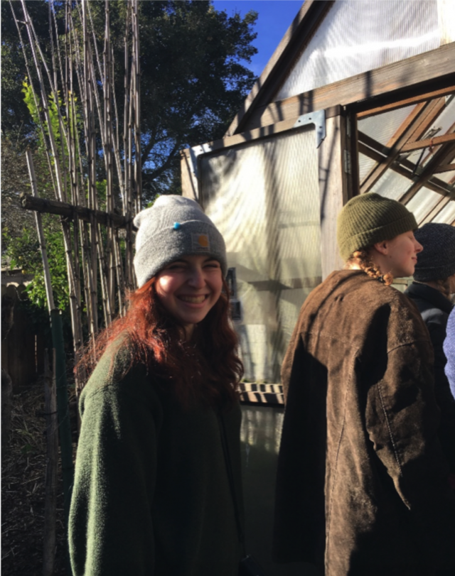 Screen Shot 2019 02 01 At 10 54 35 Am