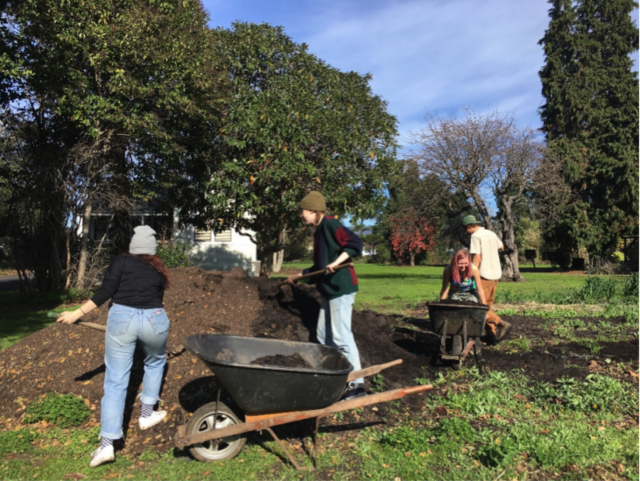 Screen Shot 2019 02 01 At 10 54 44 Am