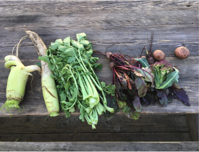 Screen Shot 2019 02 01 At 10 55 13 Am