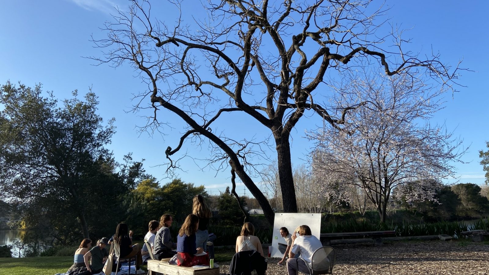 Outdoor class, underneath tree at Oxbow School