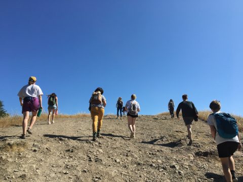 IMG 2813